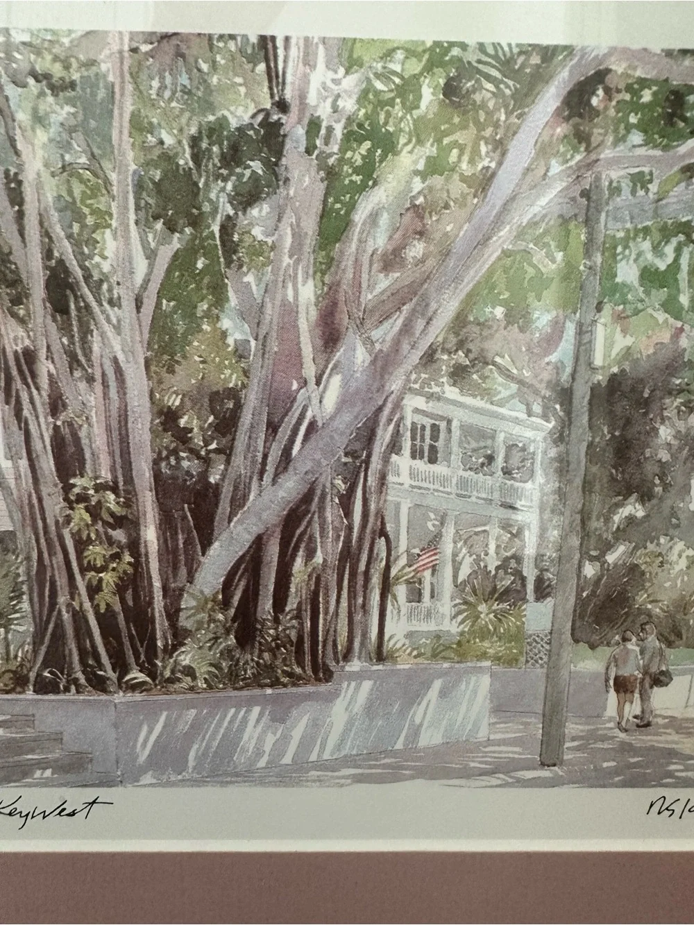 Pink Framed Mat Botanical Wall Art Robert E. Kennedy Iconic Banyan Tree Key West